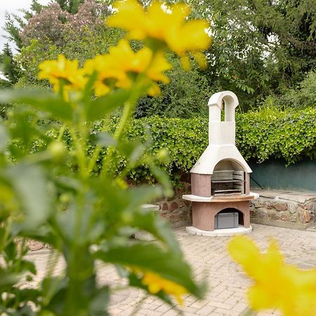 Ferienhaus Am Bergeshang Blankenburg  Εξωτερικό φωτογραφία