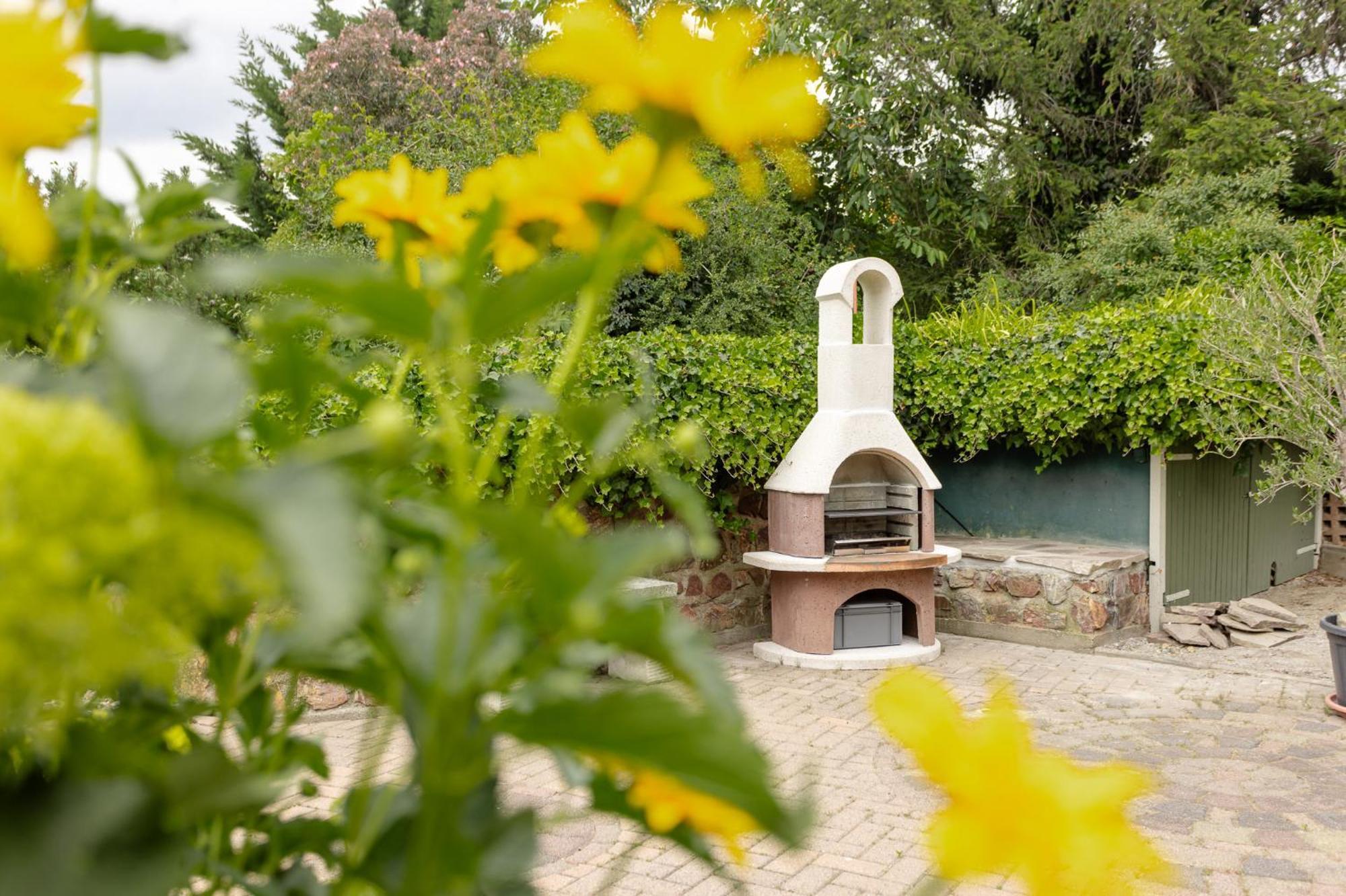 Ferienhaus Am Bergeshang Blankenburg  Εξωτερικό φωτογραφία
